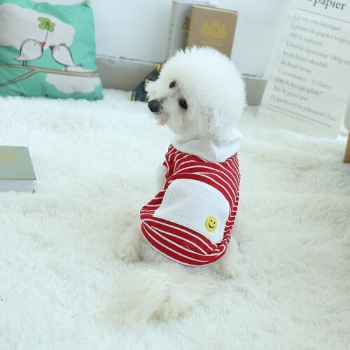 Spring Dog Clothes for Small Dogs Pet Clothing Soft tshirt Jersey Vest Hoodie Pajamas Yorkies Japan Korea Clothes Summer