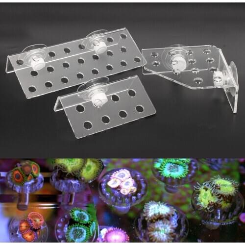 3 Types Acrylic Aquarium Plus Coral Rack Stand Bracket Holds Live Fish Tank Suction Cup Shelf Holder Pet Fish Aquatic Supplies
