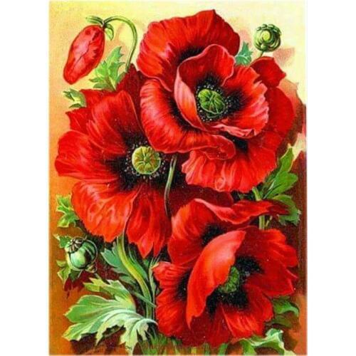 Embroidery Counted Cross Stitch Kits Needlework - Crafts 14 ct DMC Color DIY Arts Handmade Decor - Oriental Red Poppy