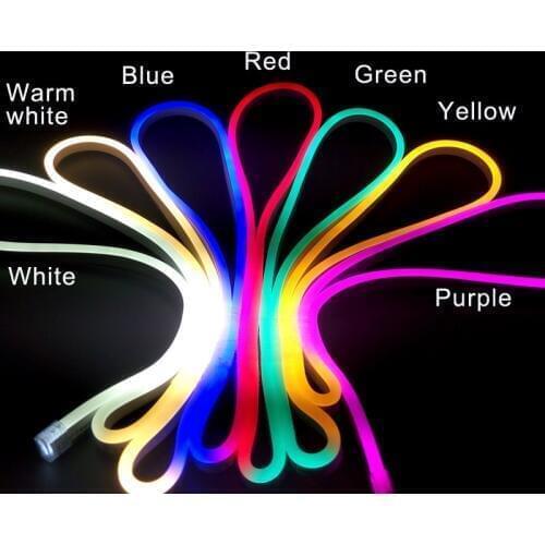 220V LED Light Neon Strip Flexible Band Tube Lighting 1m 2m 3m 5m 10m 15m 30m Outdoor Waterproof IP67 Ruban Blue Red Warm white