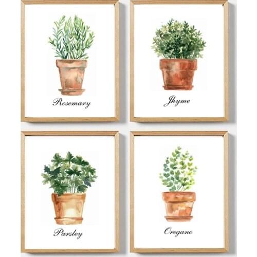 Water color Kitchen Wall Art Canvas Posters Prints Decor Oregano Thyme Rosemary Parsley Green Plant Art Painting Pictures