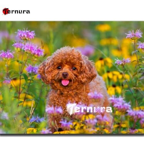 Sea of flowers 5D diamond mosaic Cute teddy dog Diy Diamond Painting Crafts Embroidery Diamond Cross Stitch rhinestone Decor