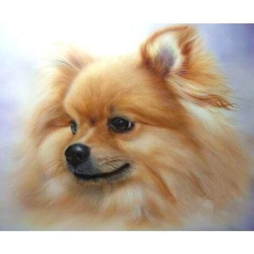 Full Drill Square Diamond Painting Cross Stitch Pomeranian Pictures Mosaic Full Square Diamond Embroidery Adornment Wall Sticker