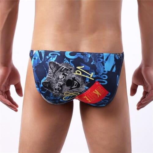 New Sexy Men Underwear Breathable Printed Briefs Low Waist Male Underpants Cuecas Calzoncillos Bulge Pouch Gay Bikini Briefs