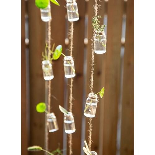 Wall Hydroponic Vase Wall Hanging Vase Home Decoration Tandem Curtain Small Glass Bottle Hydroponic Plant