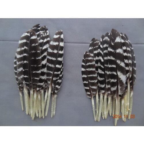 New!Hot!100Pcs/lot!5-10cm long MINIATURE WILD TURKEY WING FEATHERS,Natural Wild Turkey Small Quill Feathers freeshipping