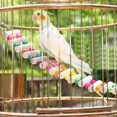 AHUAPET Parrot Toys Hammock With Stand Cage Platform Bird Cage Pappagallo Wood Stainless Steel Totoro Ladder Pigeon Supplies E