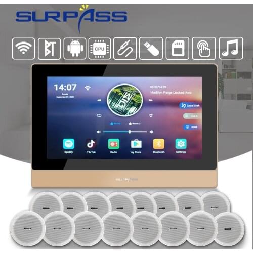 Wireless Bluetooth Sound In Wall Amplifier WiFi Android Digital Audio Ceiling Speaker HiFi Stereo Power Amp Home Theater System