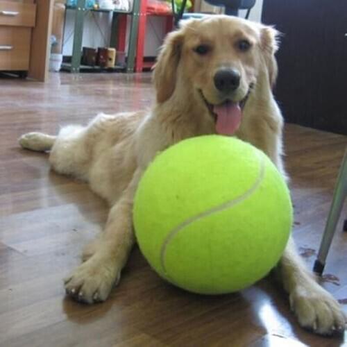 24cm / 9.45inch Dog Tennis Ball Giant Pet Toy Chucker Launcher Dog Chew Toy Signature Mega Jumbo Kids Toy Ball