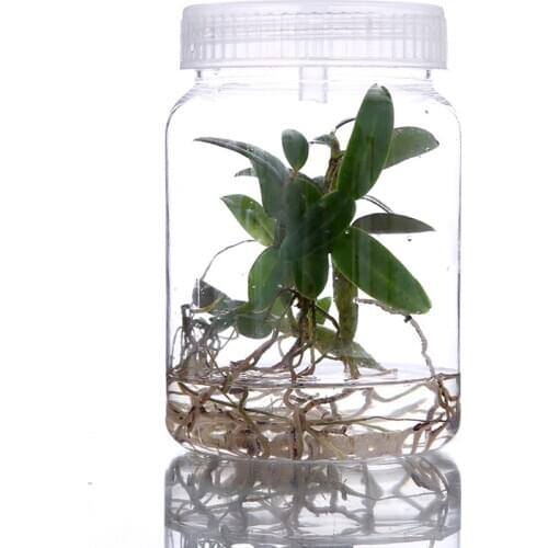 1pc 350mL 500mL Plants Plastic Jars For Bottle Seedling Tissue Culture Seedling High Temperature Resistance No Deformation