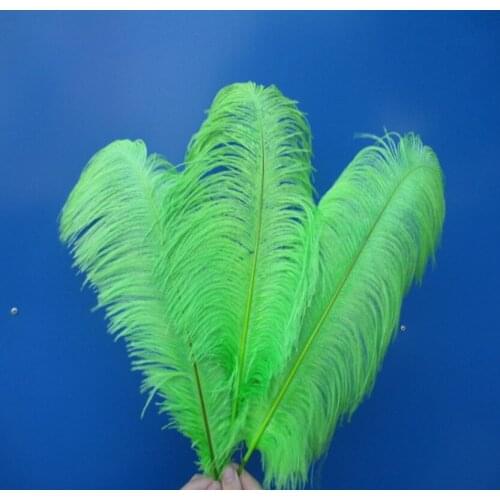 Cheap! Beautiful green ostrich feathers 100 pcs 14-16 inches / 35-40 cm Free Shipping