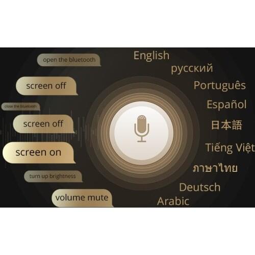 Optional Voice Control Function with Built-in 9 Language Commands for Ownice K6 Plus K7 Don't Sell Separately
