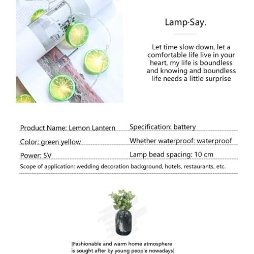 Lemon Slice Light String Battery Operated Yard Garden Simulation Wedding Festival Warm White Romantic