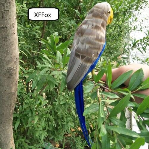 New real life gray&blue parrot model foam&feather simulation parrot bird gift about 40cm xf0215