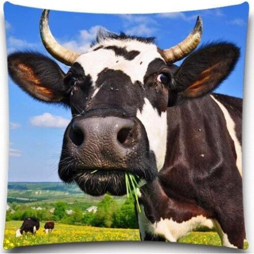 Cow Duck Pig Cushion Cover Home sofa chair car Textiles kids Gift Bedclothes 5 size 9 style