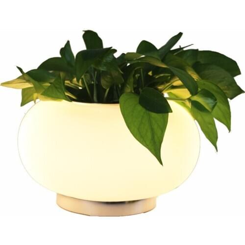 Modern Plant White Table Lamp Living Room Hydroponic Study Work Decor Desk Light TA168