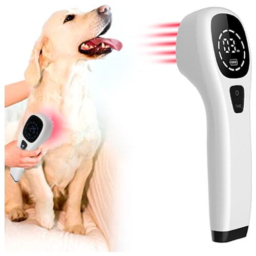 4x808nm 12x650nm Pain Gone Muscle Pain Relief Prostate Treatment Cold Laser Therapeutic Physiotherapy Equipment