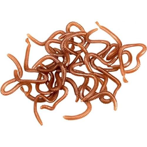 Crankbaits fishing 1 box vivid bionic sandworm bait freshwater universal earthworm soft bait for fishing воблеры для рыбалки