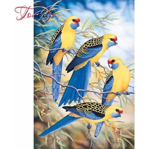 Kit de broderie au point de croix 5D | Perceuse complète, peinture diamant, oiseaux chanteur, mosaïque tableau fait à la main