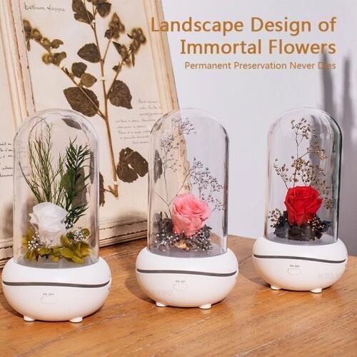 Aromatherapy Air Purification Diffuser For Office Home Aromatherapy Machine Eternal Flower Essential Oil With LED Night Light