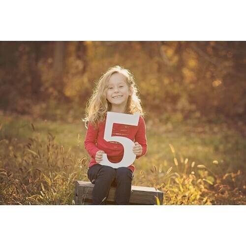 Custom Wooden Number Childrens Photo Prop Photography Prop Birthday Photo Shoot Prop Wooden Number Sign
