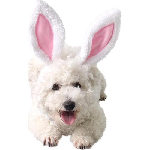 Dog Rabbit Hat Pet Accessory Holiday Party Caps