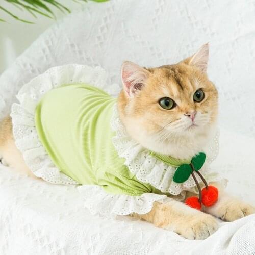 Little Cherry The Pattern Design Kitten Thin Small Lace Dresses Vest Breathable Clothes Skirt Dogs Spring and Summer For Cat