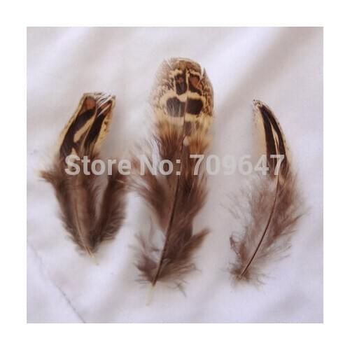 Plumas!200Pcs/lot!5-8cm Ringneck Hen Pheasant Almonds Plumage Feathers Wholesale Supply Craft Design Earrings Bulk Lot feathers