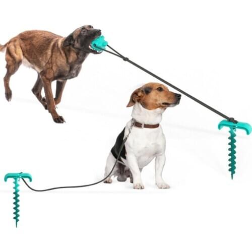 Outdoor Dog Interactive Toy Leashes Set With Fixed Pile Spiral Anti Wrap Pet Ground Stake Accessories Dog Playing Chew Toys
