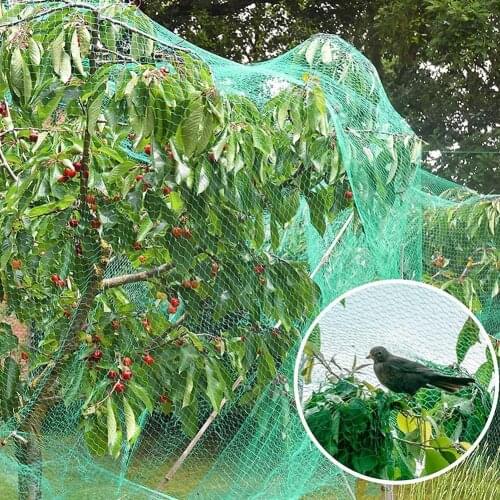 Green Anti Bird Protection Net Mesh Garden Plant Netting And Protect Plants Fruit Trees From Deer Birds Poultry Q5F5