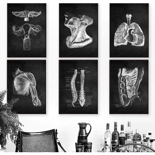 Abstract Human Anatomy Artwork Medical Painting Wall Art Picture Muscle Skeleton Education Poster Canvas Painting for Home Decor