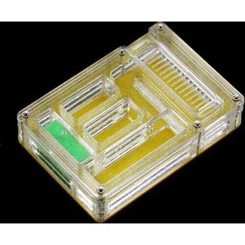 Ants feed box Acrylic ants nest ants watch box pet ants nest ants home transparent nest