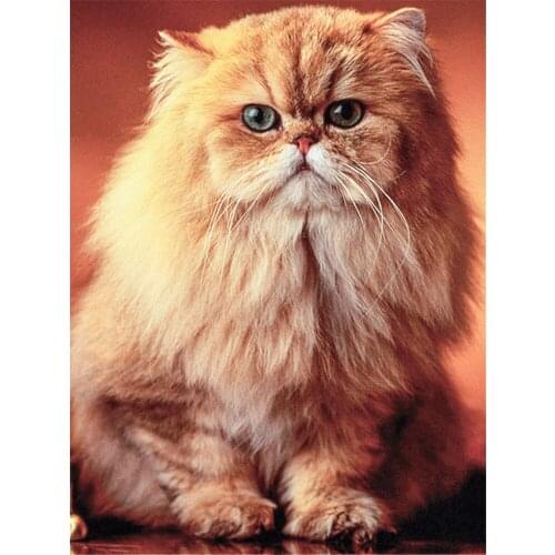 Animal Cat DIY 11CT Embroidery Cross Stitch Kits Needlework Craft Set Cotton Thread Printed Canvas Home Dropshipping