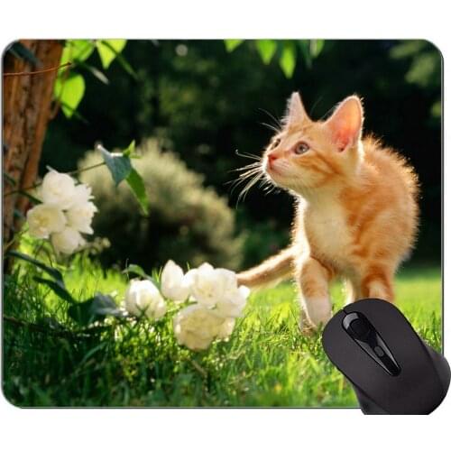 Mouse Pad with Stitched Edge,Kitten animal cat flower garden grass Home Office Computer Accessories Mousepads