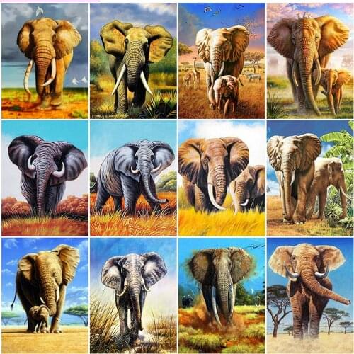 MomoArt Full Square Diamond Painting Elephant 5D DIY Diamond Mosaic Animal Cross Stitch Kits Embroidery Art Home Decorations