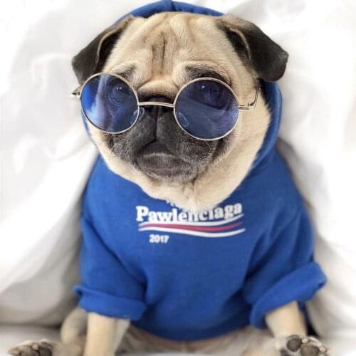 Frenchie Bulldog Dog Custume Hoodie Fleece Thick Dog Sweater Clothes for Small Dogs French Bulldog Accessories Outfit Clothing