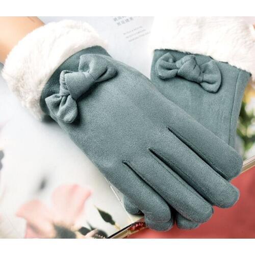 Winter Female Single Layer Plush Wrist Warm Cashmere Full Finger Mittens Women Suede Leather Touch Screen Driving Bike Gloves