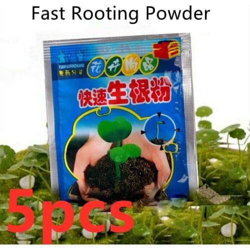 5pcs Fast Rooting Powder Bonsai Plant Rapid Growth Root Medicinal Hormone Regulators Compound Fertilizer Home Garden Supplies