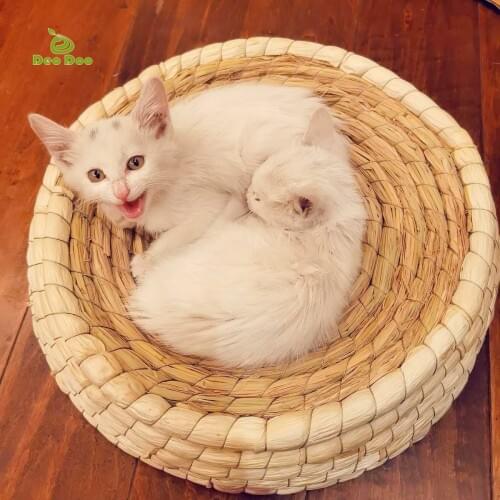 Handmade Cat Bed Biodegradable Pet Straw Braided Bed Puppy Kennel Cat Nest Kitten Scratching Sleeping Mat Pets House