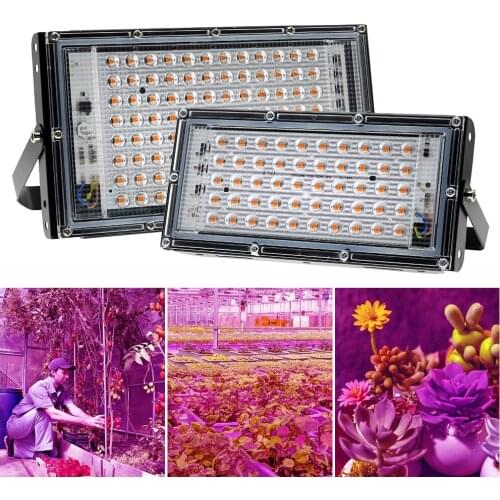 LED Grow Lights Flower Seeds Panel 220V 50W Outdoor Floodlight Phytolamp For Indoor Tent Hydroponic Greenhouse Plants EU/UK Lamp