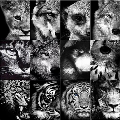 EverShine Diamond Embroidery Animal Cross Stitch Diamond Painting Black And White Full Square Kits Mosaic New Arrival Handicraft