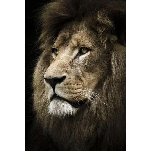 Lions Animal Cross Stitch Kits Oil Painting Needlework Embroidery Crafts 14ct Unprinted DIY Arts Handmade Home Decor