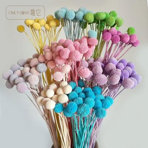 2pcs Preserved Flower eternal golden ball living room home decoration autumn Nordic style mothers Day Christmas Valentines