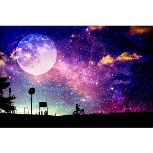 DIY Diamond Painting Kits for Adults,Full Drill Crystal Rhinestone Embroidery Pictures Moon Starry Sky Bike Paintings