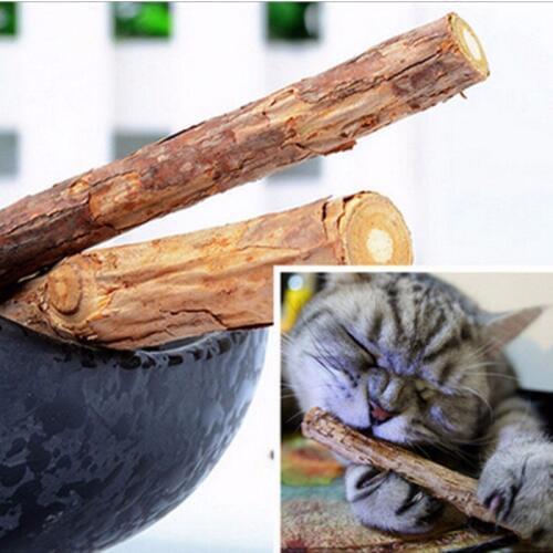 Cat Toy Natural Catnip Ball Menthol Flavor Cat Treats 100% Edible Cats-go-crazy Treats A002