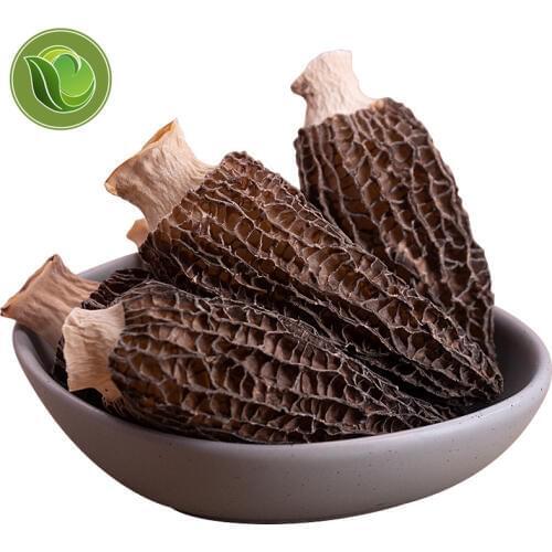 Premium Dried Wild Morel Mushrooms