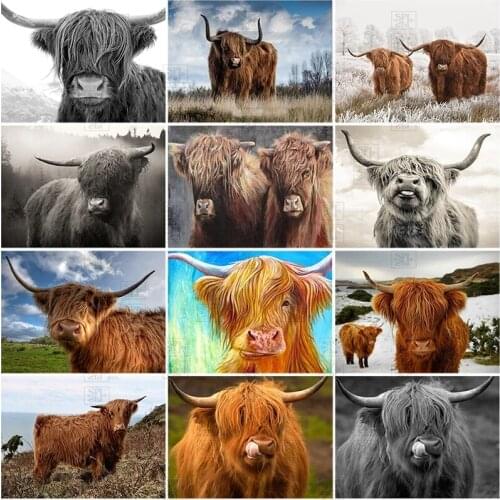 Diy 5D Animal Diamond Painting Round Full Drill Rhinestone Mosaic Highland Cow Diamond Embroidery Cross Stitch Home Decor Gift