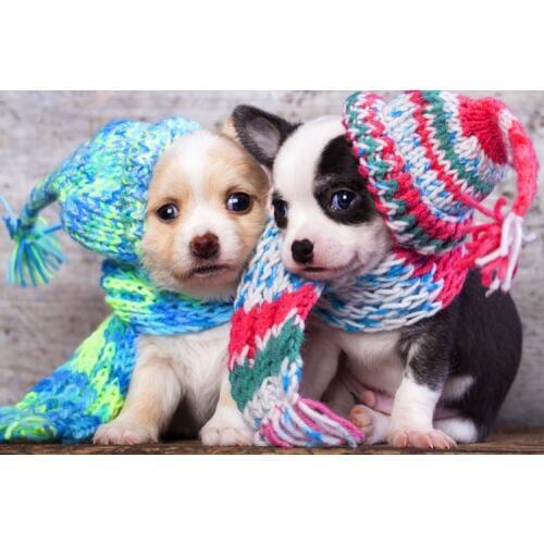 Sweater puppy The wooden puzzle 1000 pieces ersion paper jigsaw puzzle white card adult childrens educational toys