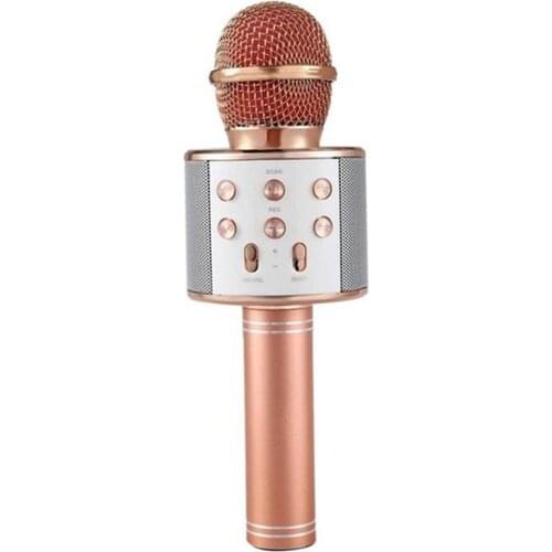 Professional WS-858 Handheld KTV Microphone Portable Wireless Karaoke Home Mic Speaker Player Microphones