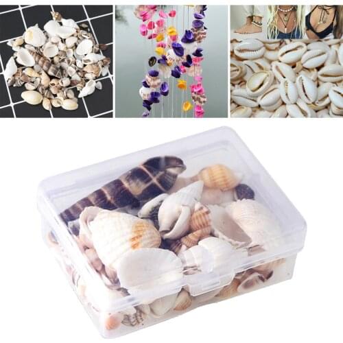 1 Box Multiple Mixed Natural Sea Shells Conch Decorative Fit Fishes Tank Beach Decor Beach Theme Party Home Decorations